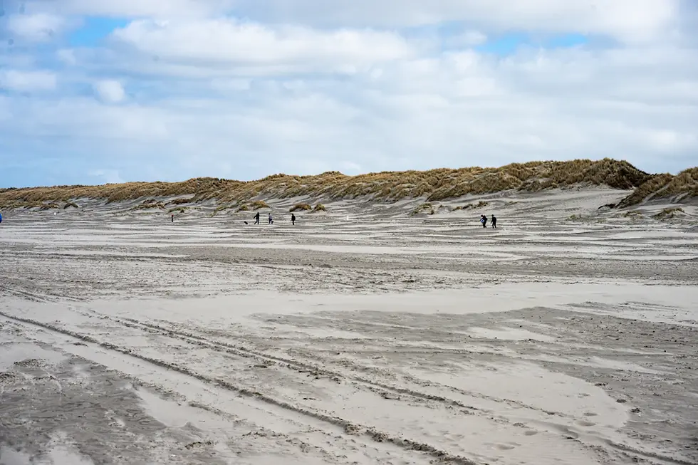 The Importance of Open Spaces in Coastal Homes