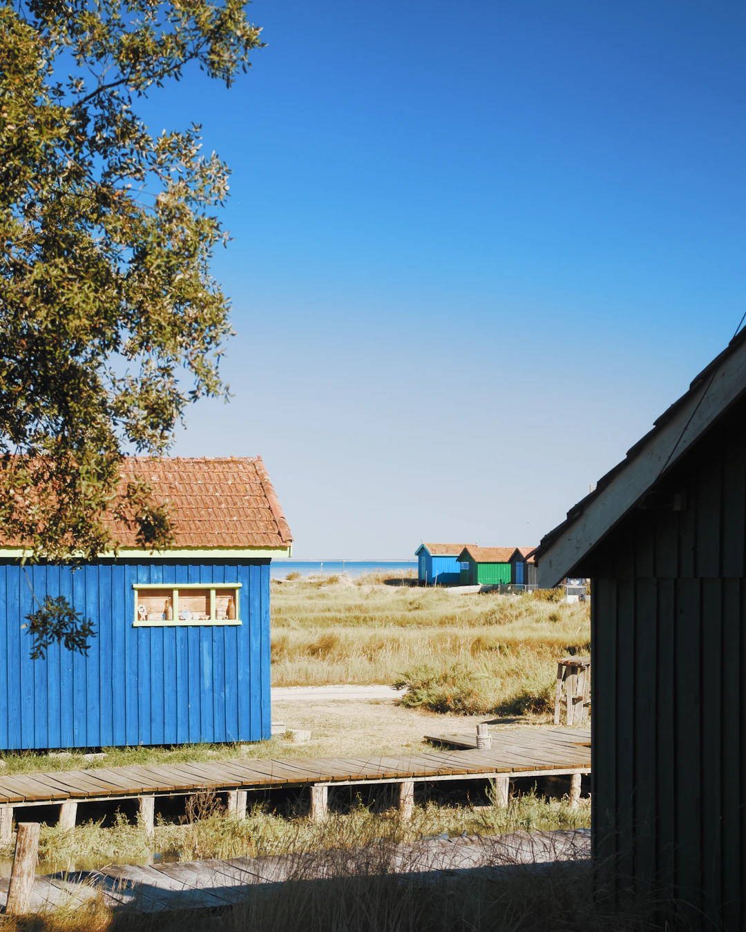 Choosing the Right Color Palette for Coastal Decor