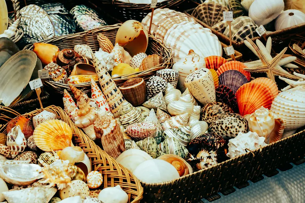 Transform Your Space: Key Elements of Coastal Home Decor
