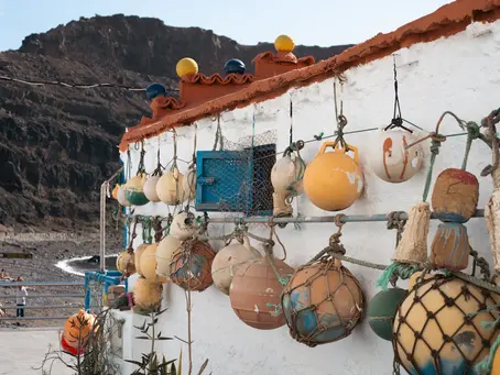 Seasonal Updates for Coastal Decor: Infusing Fresh Coastal Vibes into Your Home