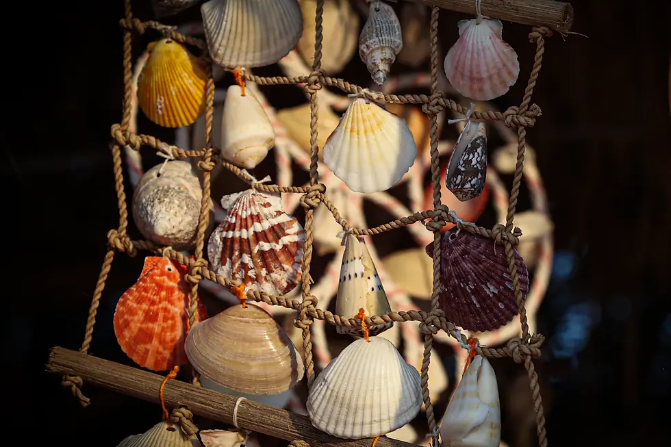 Transform Your Space: 5 Essential Elements of Coastal Home Decor