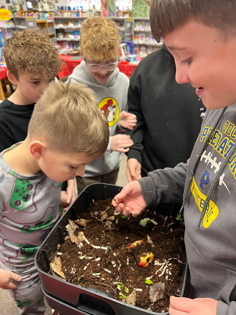 Five boys lean over a compost bin in a library, smiling and inspecting soil scraps.