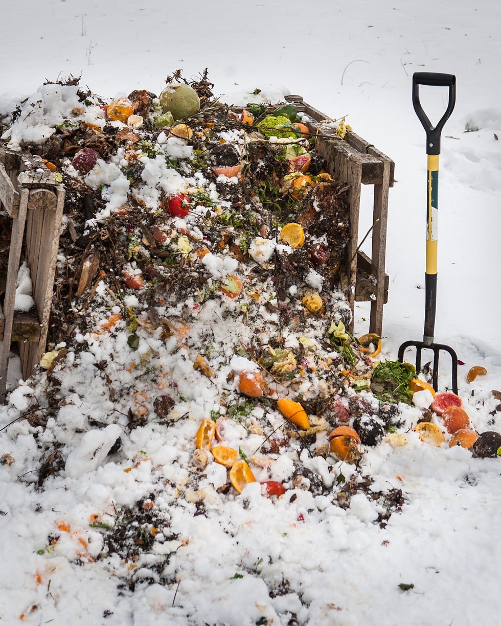 Snowy compost heap of fruit and vegetable scraps beside a yellow-handled shovel in a quiet garden.