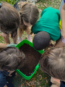 How to Compost in Small Spaces