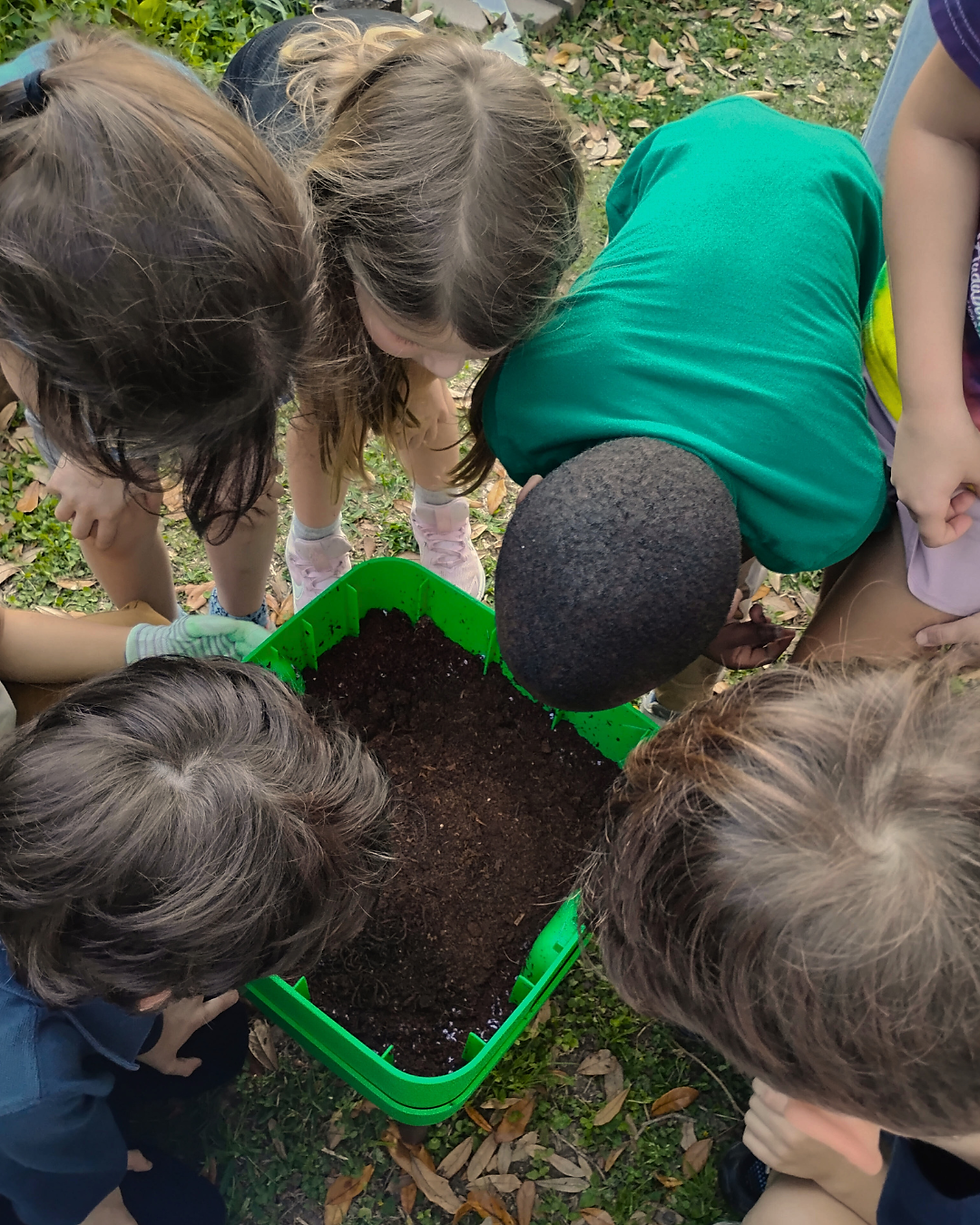 Children gather around a green box of soil outdoors, looking closely. The mood is curious and engaged with leaves scattered around.