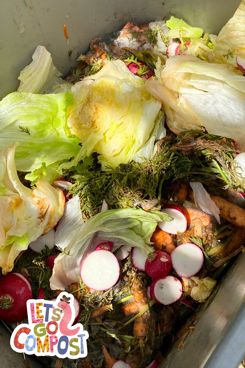 Compost bin filled with wilted lettuce, radish slices, carrot peels and scraps, with a colorful Lets Go Compost sticker.