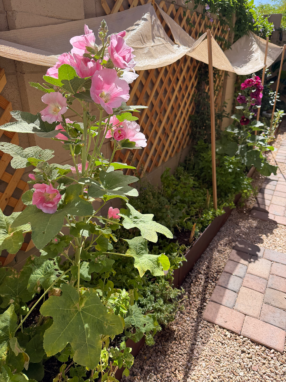How to Improve Sandy Soil in Your Garden Bed: A Complete Practical Guide