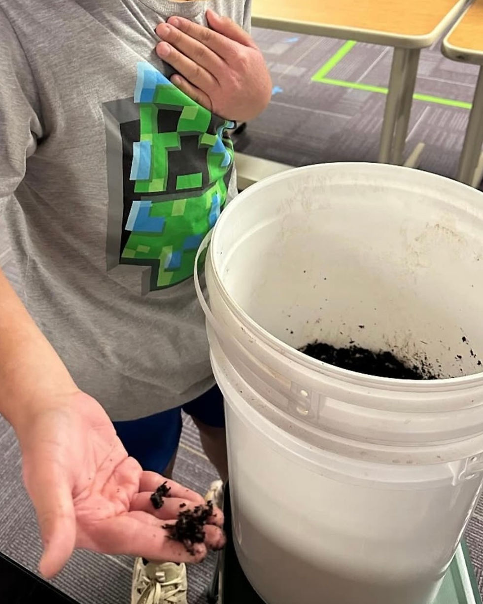 Person holding worm compost