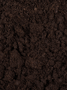 Human Composting Explained: What It Is, How It Works, and Why People Are Choosing It