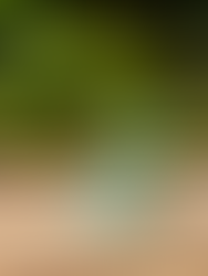 Can You Compost Compostable Dog Poop Bags?