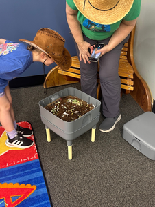 Child looking at worm compost system with Let's Go Compost