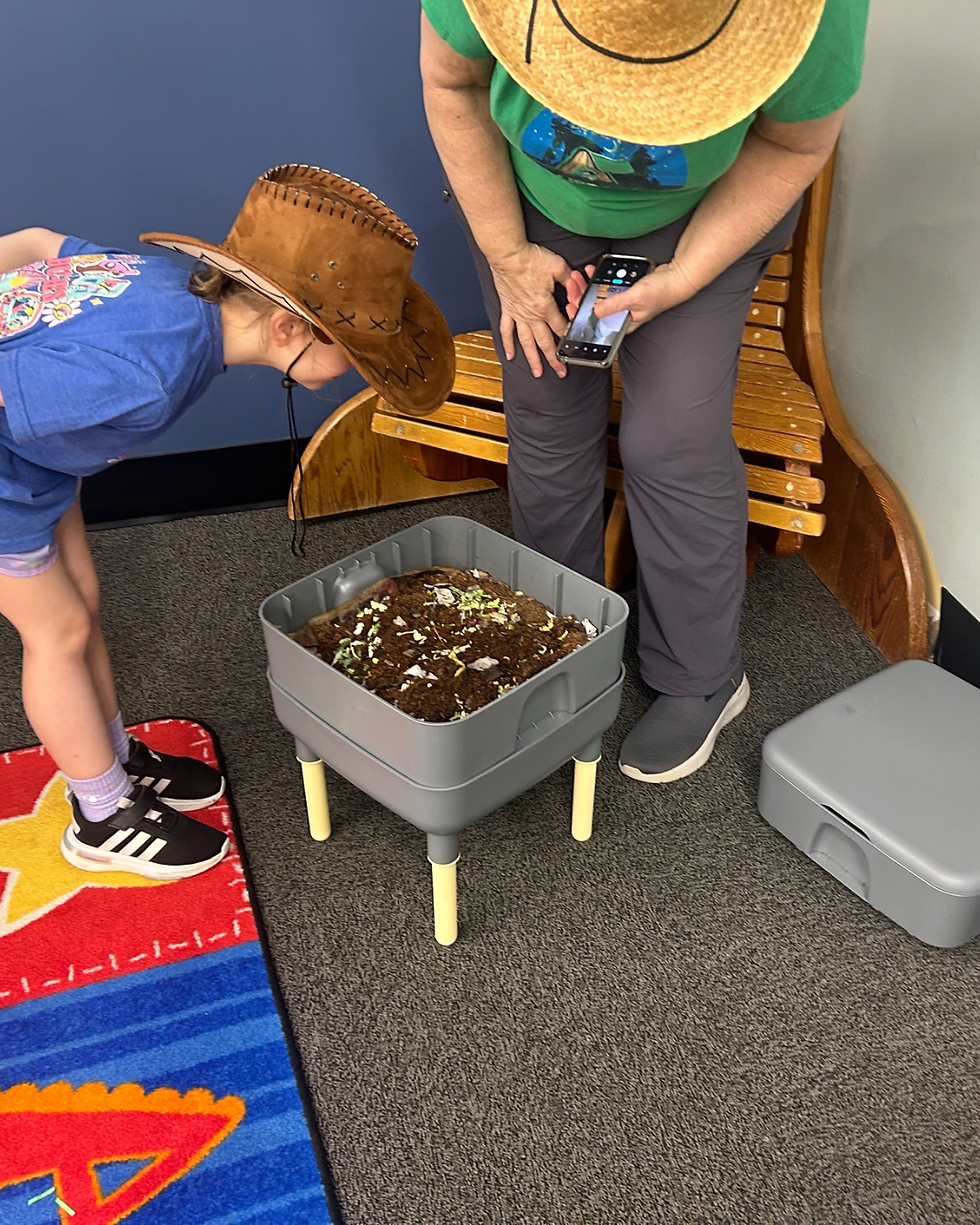 Child looking at worm compost system with Let's Go Compost