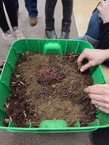 How to Use Compost for a Healthier Garden: Simple Steps That Actually Work