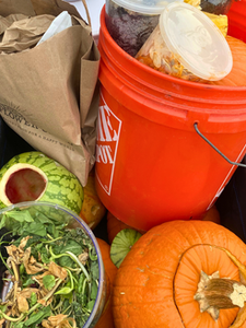 Sustainable Landscaping Starts with What You Throw Away