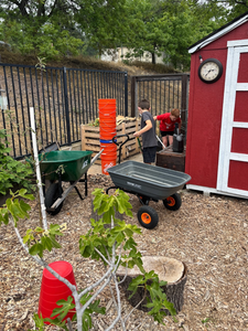 Should You Add Compost to Native Plants? It Depends on Where They Naturally Grow