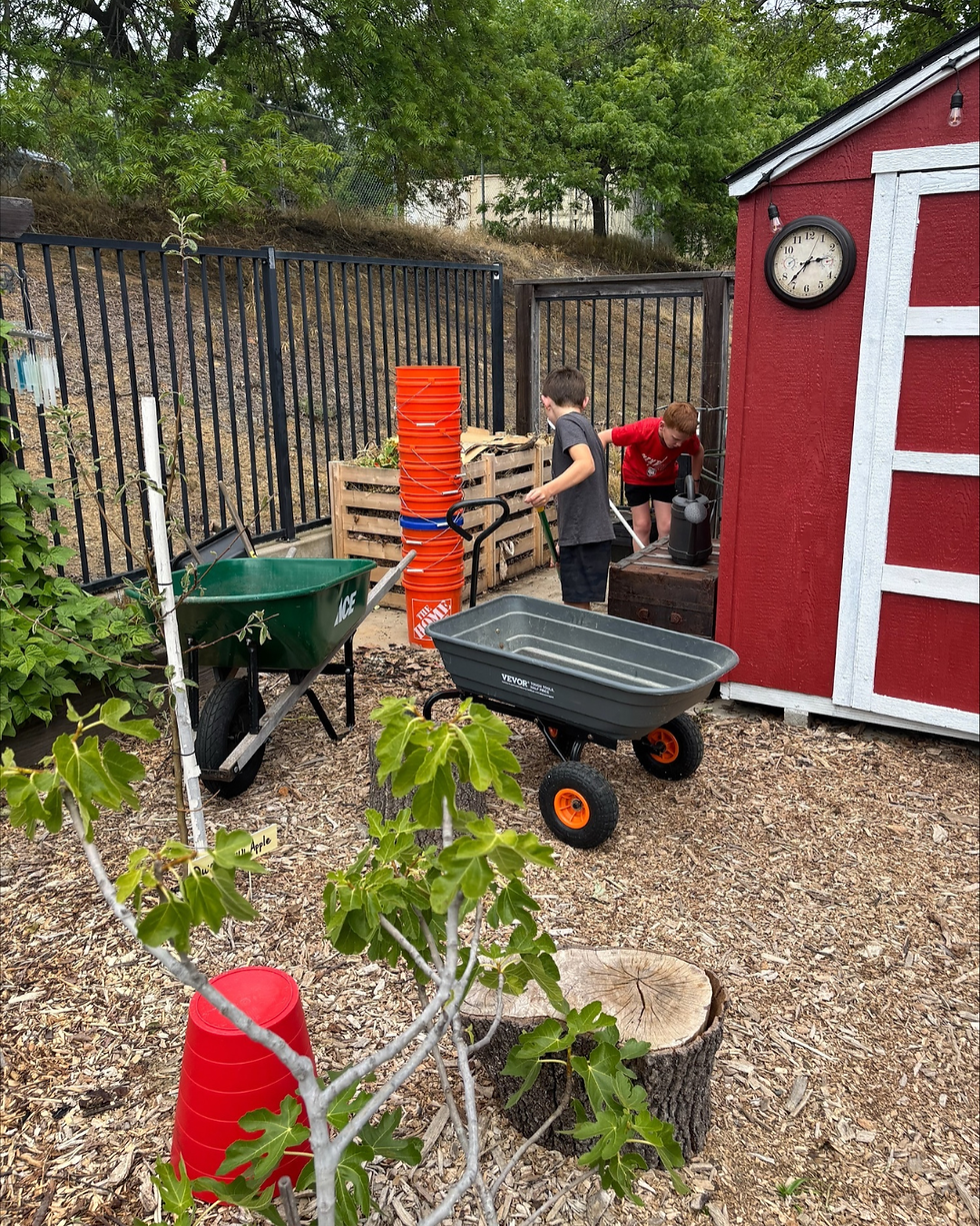 Should You Add Compost to Native Plants? It Depends on Where They Naturally Grow