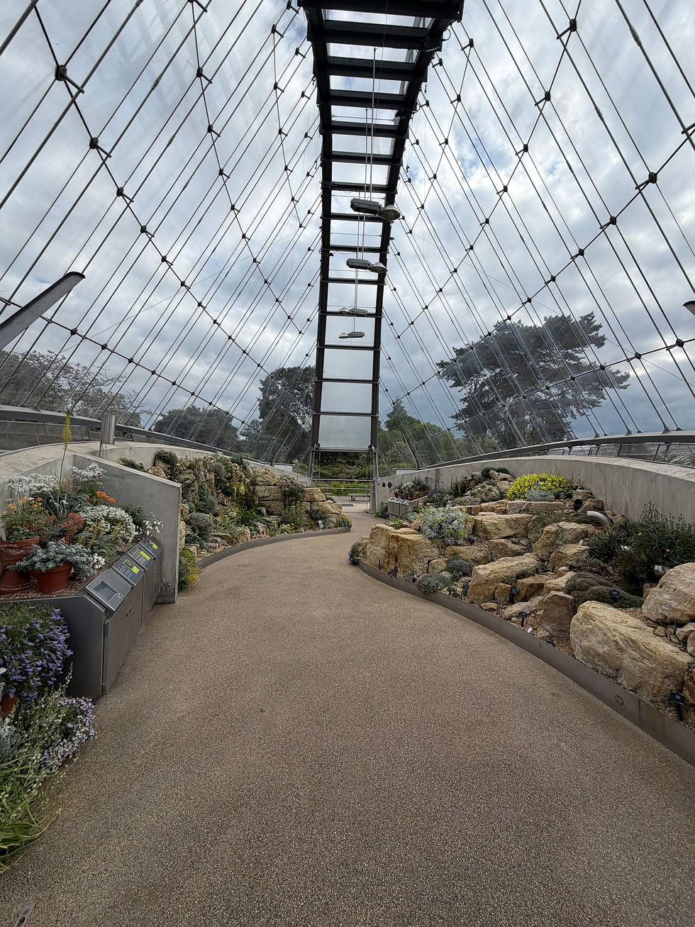 Curved path through a glass-roofed conservatory garden with rocks and flowers under a cloudy sky.
