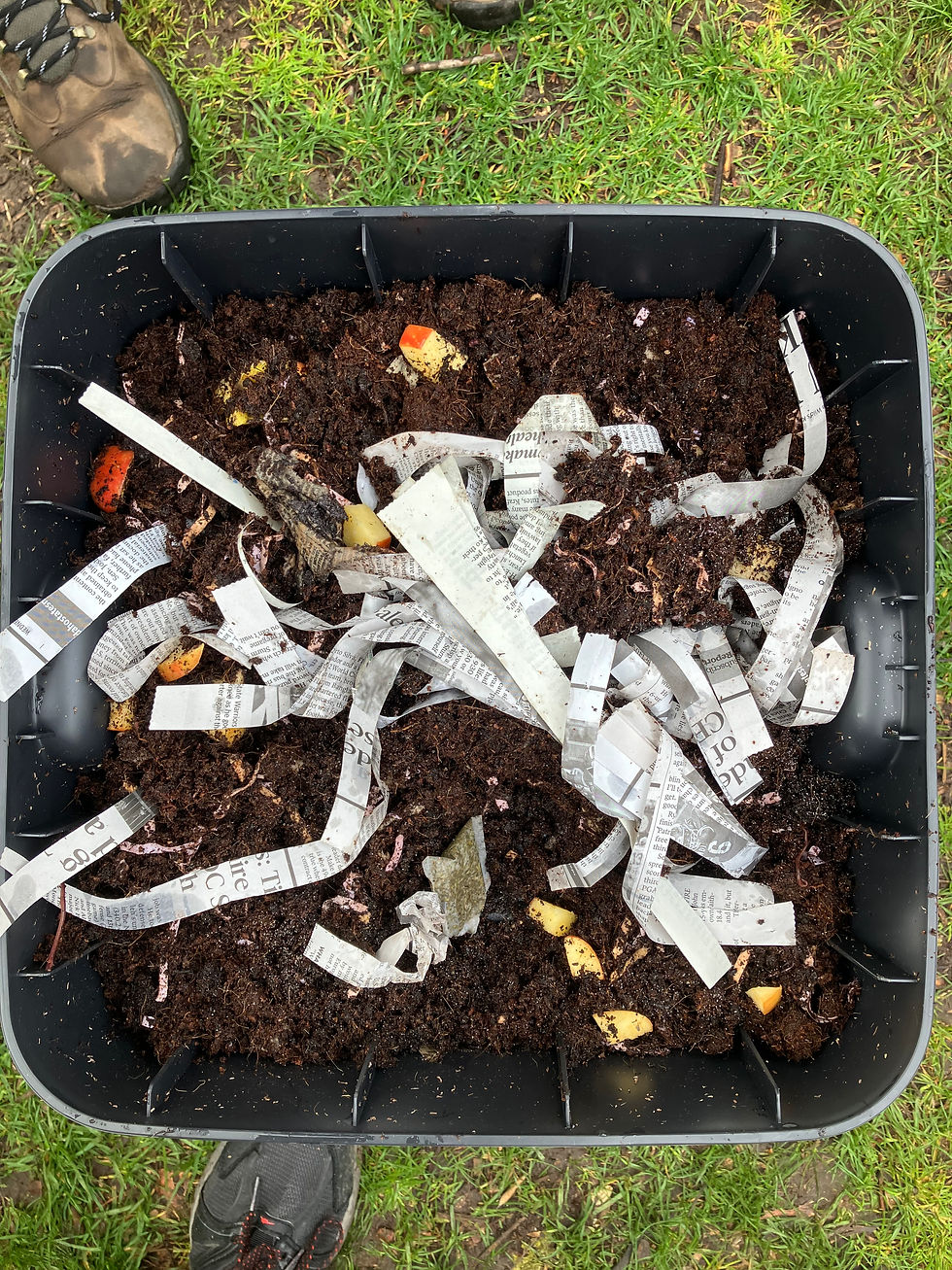 Top view of a compost bin on grass, filled with soil, shredded newspaper, and food scraps; muddy shoes frame the scene.