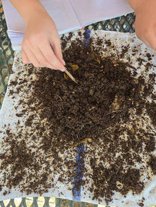 Compost bin with a red X over common household items like meat, dairy, and plastic, highlighting materials that should never be added to compost.