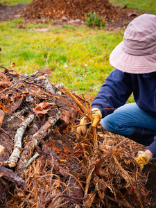 Hügelkultur 101: What It Is, How It Works, and Why Gardeners Use It