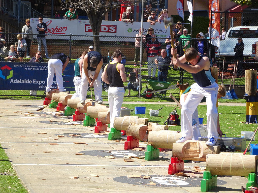 Woodchopping