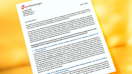 Letter-Danish-EU-Presidency.jpg