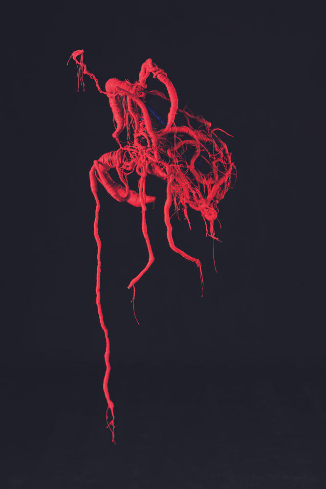 Jingyu Xu, Untitled, 2009, Fabric, 38×36×28cm