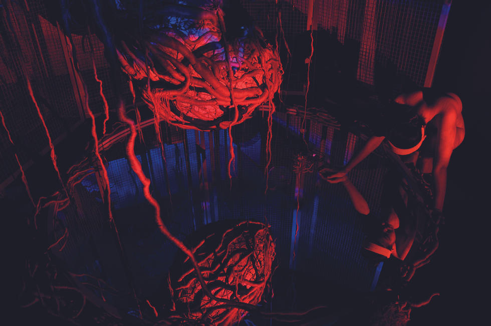 Jingyu Xu 2010 Solo Exhibition Live Performance 