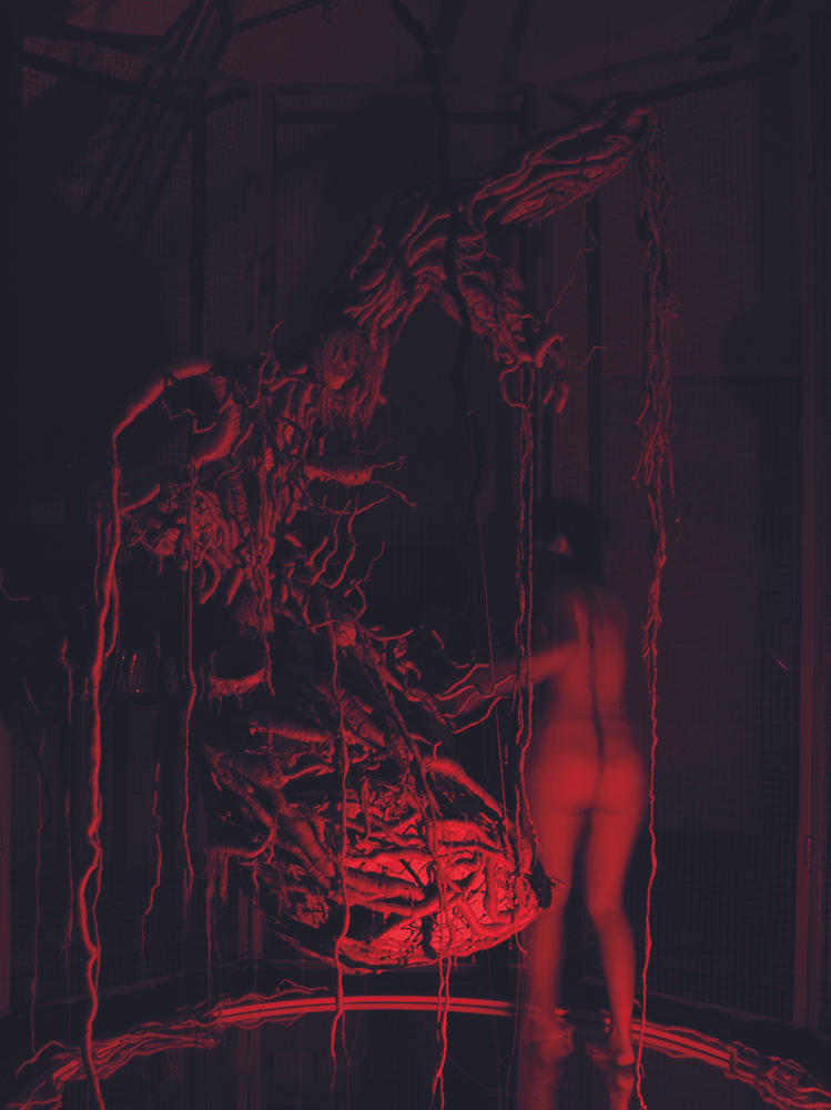 Jingyu Xu 2010 Exhibition Live Performance 