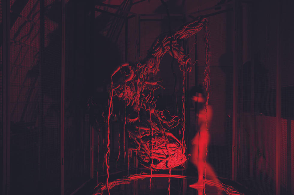 Jingyu Xu 2010 Solo Exhibition