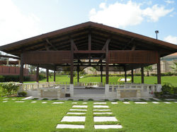P2060954