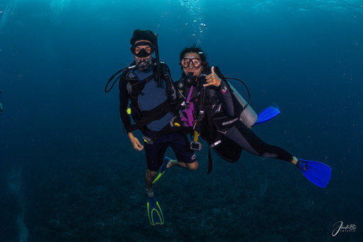 Buceo en Providencia