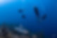 image00052.jpeg