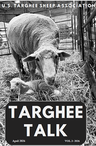 Screenshot 2026-04-24 205511.png