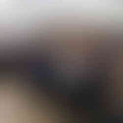 Βραβείο ανθρωπίνων δικαιωμάτων Στέλλα Σουλιώτη