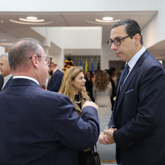 Βραβείο ανθρωπίνων δικαιωμάτων Στέλλα Σουλιώτη