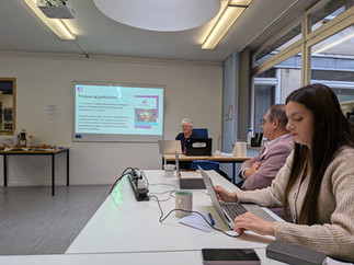 TPM Liege for Remcread project