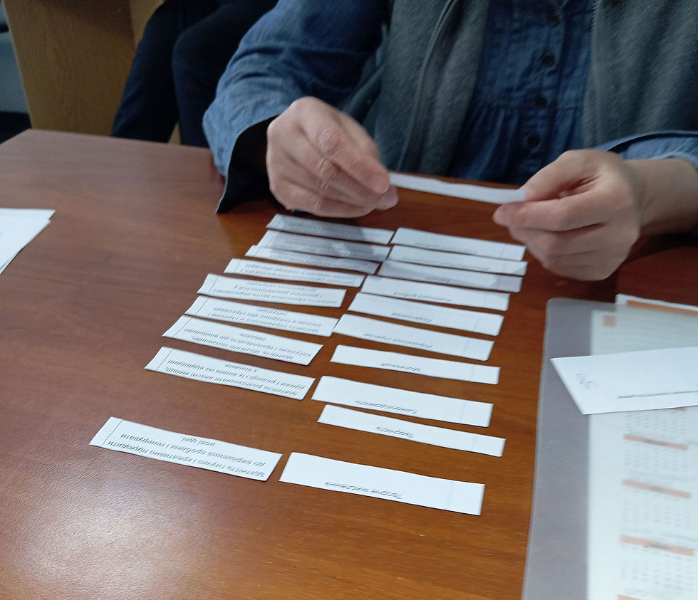 FDS focus group in Poland