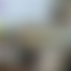 Warsztat szkoleniowy w ramach europejskiego programu Remcread