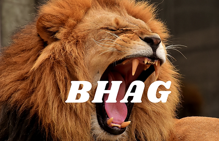 BHAG.png