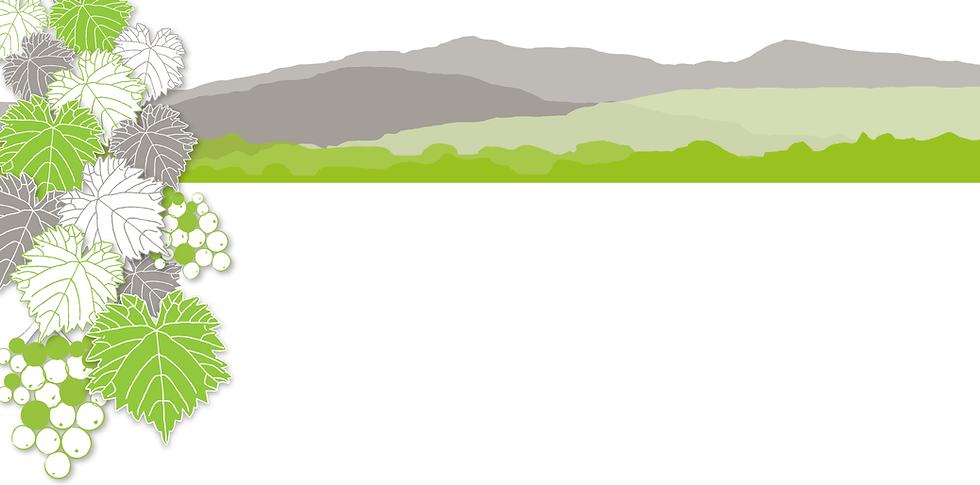 Web version_Grapevines and Valley Illustration copy.png