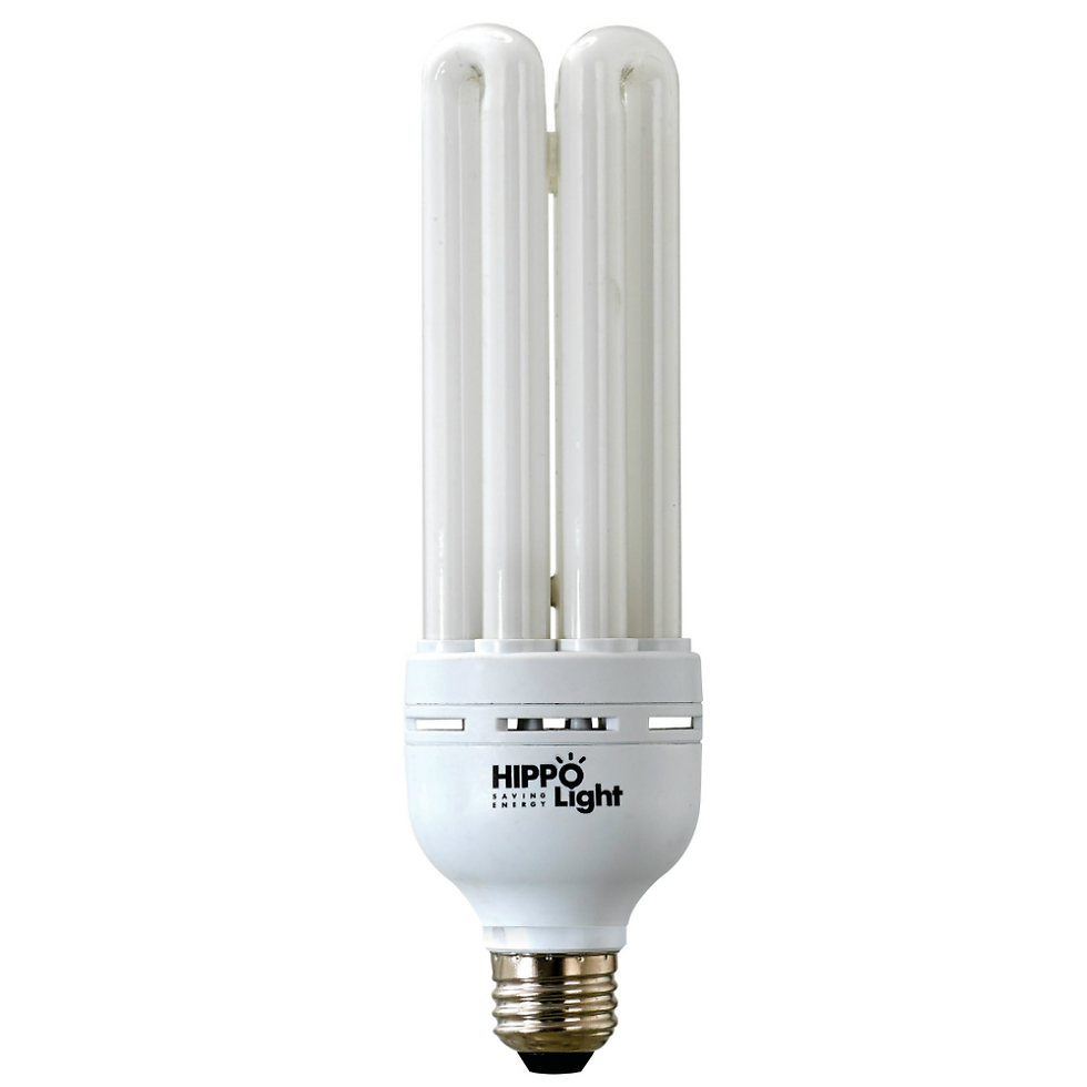 섬네일: 안정기내장램프 55W (E39)