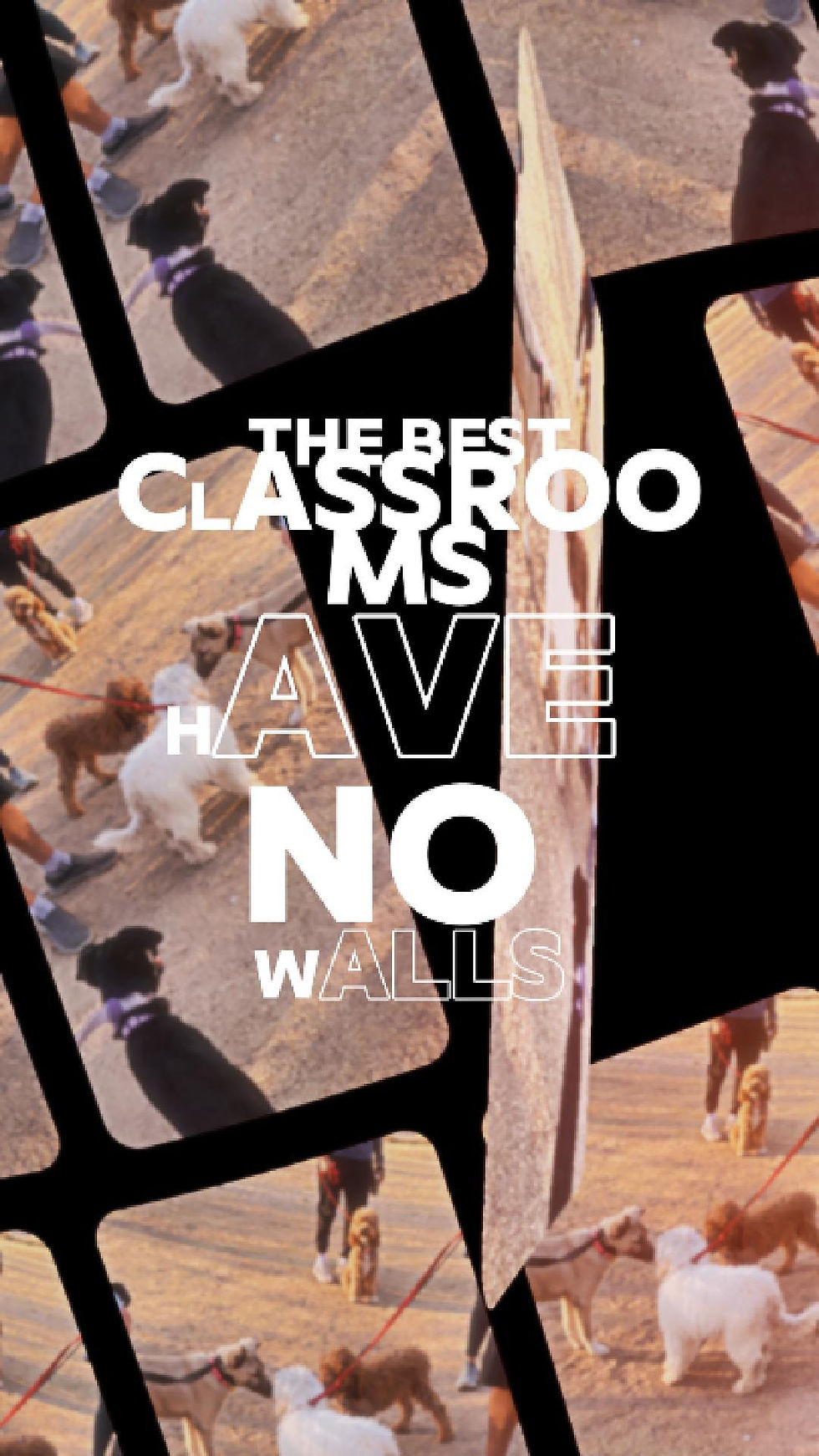 0215 (1)(1)-Cover.jpg