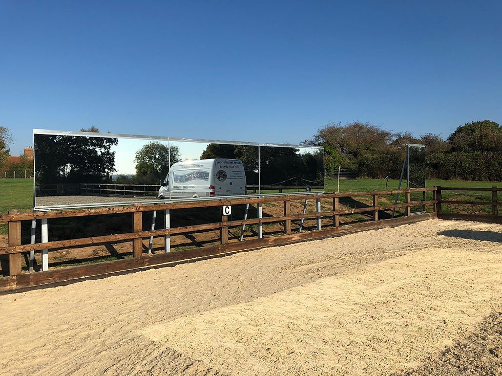 Thumbnail: 5 Arena Mirrors  Installed on Steel Structure