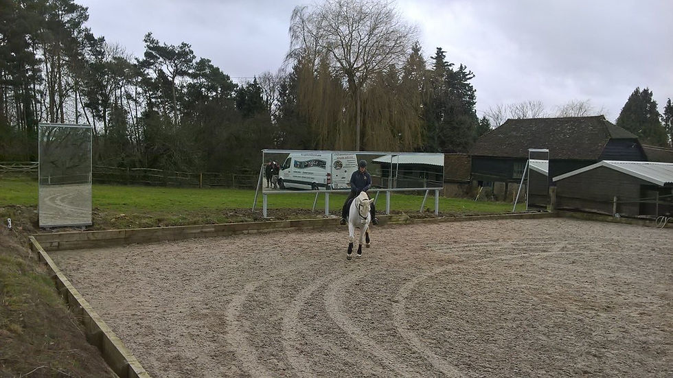 Thumbnail: 5 Arena Mirrors  Installed on Steel Structure