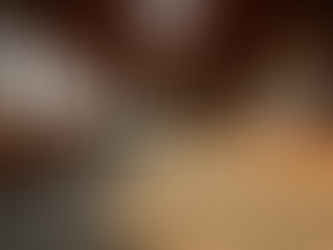 Transform Your Riding Space with Horse Arena Mirrors