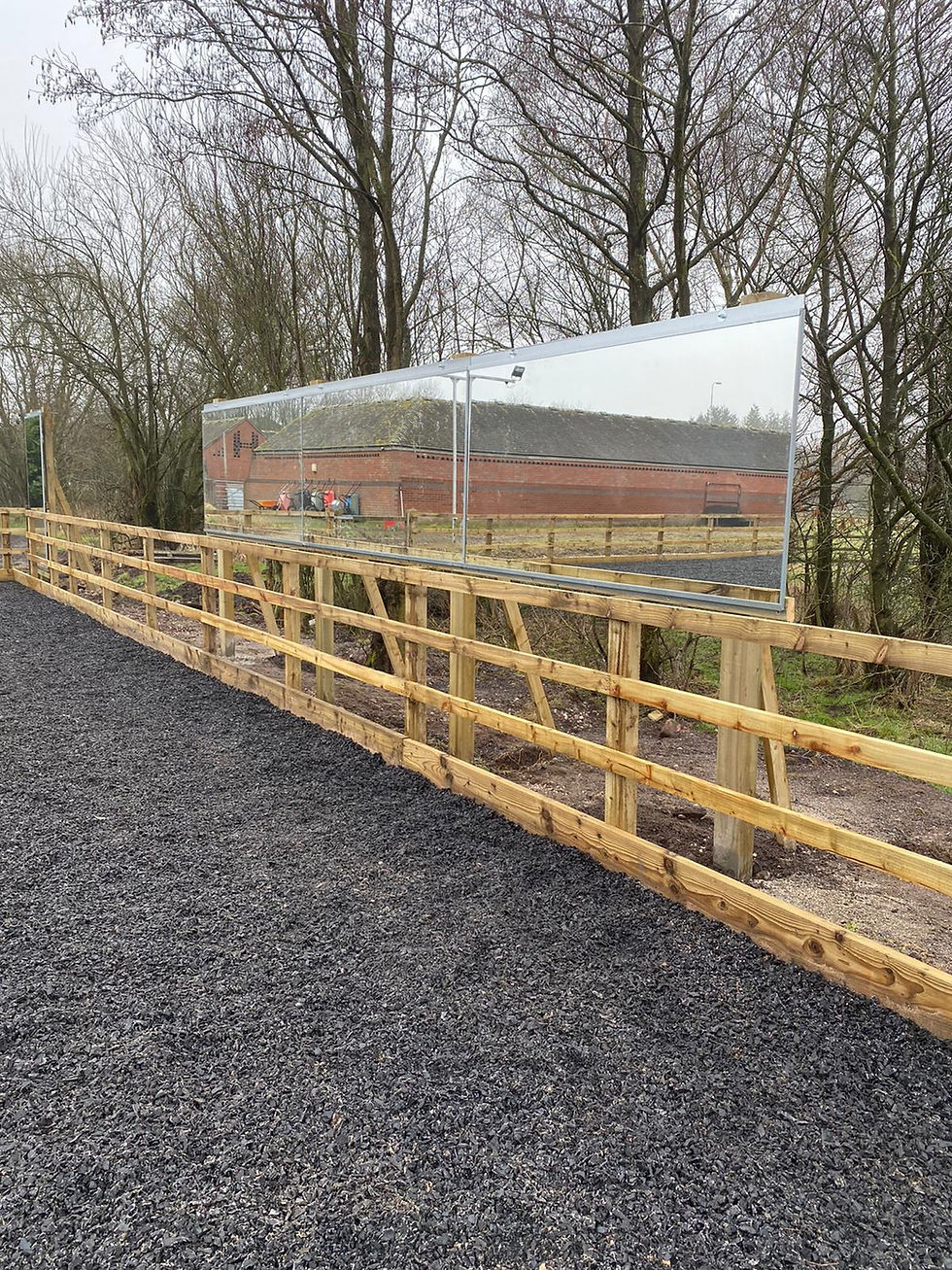 Thumbnail: 1 Mirror Installed Perfect your Halts