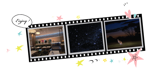 満天の星空とワイルドアニマルツアー.png