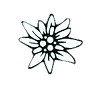 Kytička_KSP_bílá.png