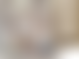 選課指南◇理想型